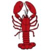 johnny automatic lobster 1